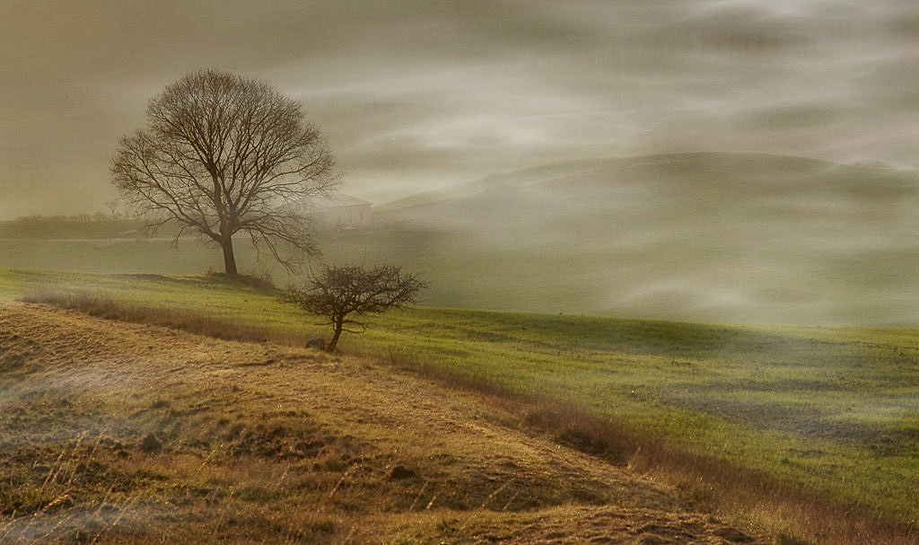 Stimmung im Val d'Orcia