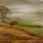 Stimmung im Val d'Orcia