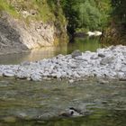 Stimmung im Weißenbachtal