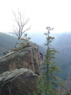 Stimmung im Westharz