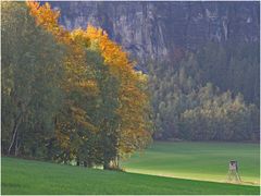 Stimmung in der Sächsichen Schweiz