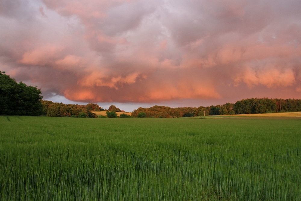 Stimmung nach Gewitter