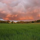 Stimmung nach Gewitter