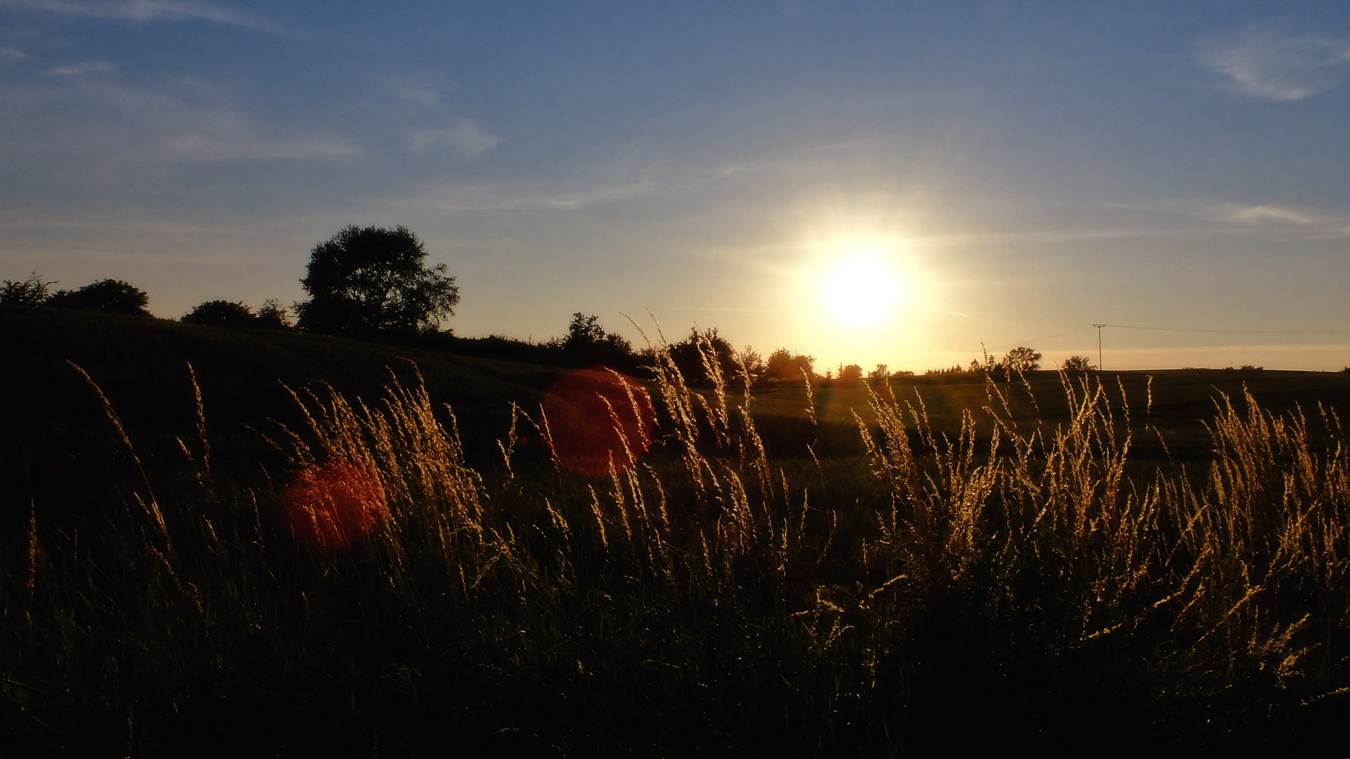 Stimmungen und Schwingungen