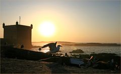 Stimmungsbild am Hafen von Essaouira