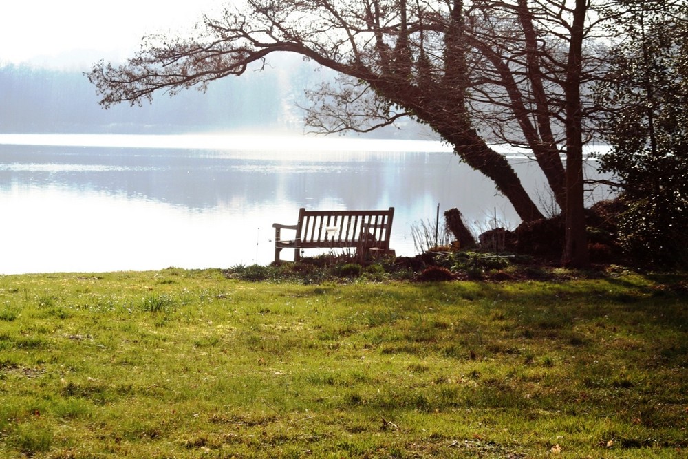 Stimmungsbild vom Mühlensee