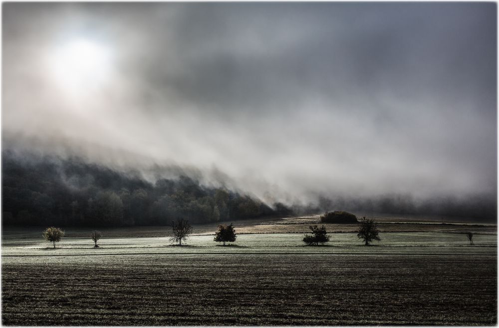 Stimmungsmache im Tal der Ahnungslosen Foto & Bild wald, dezember