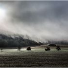 Stimmungsmache im Tal der Ahnungslosen