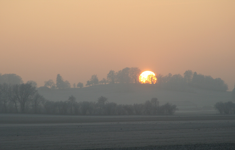 Stimmungsvolle Abendstimmung