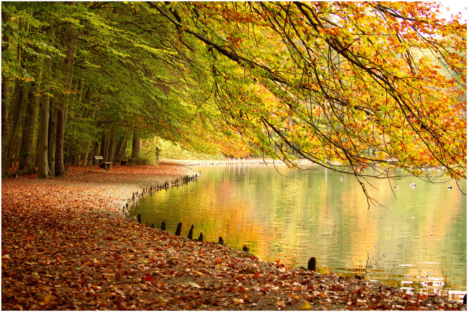 stimmungsvolle Herbstfarben Foto & Bild jahreszeiten, herbst, natur