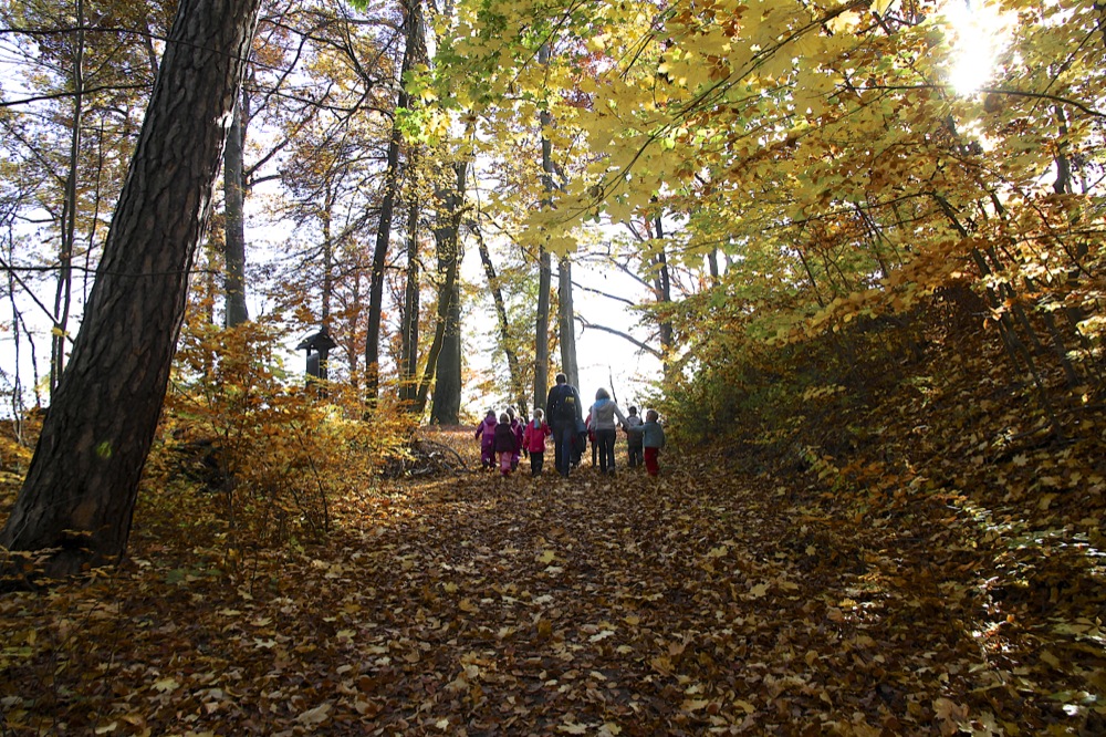 Stimmungsvolle Herbstwanderung . . .