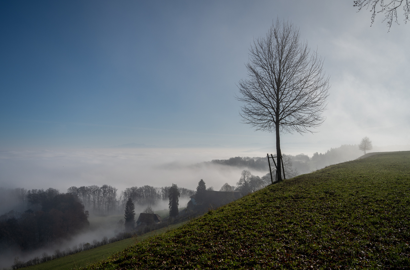 Stimmungsvolle Morgenwanderung