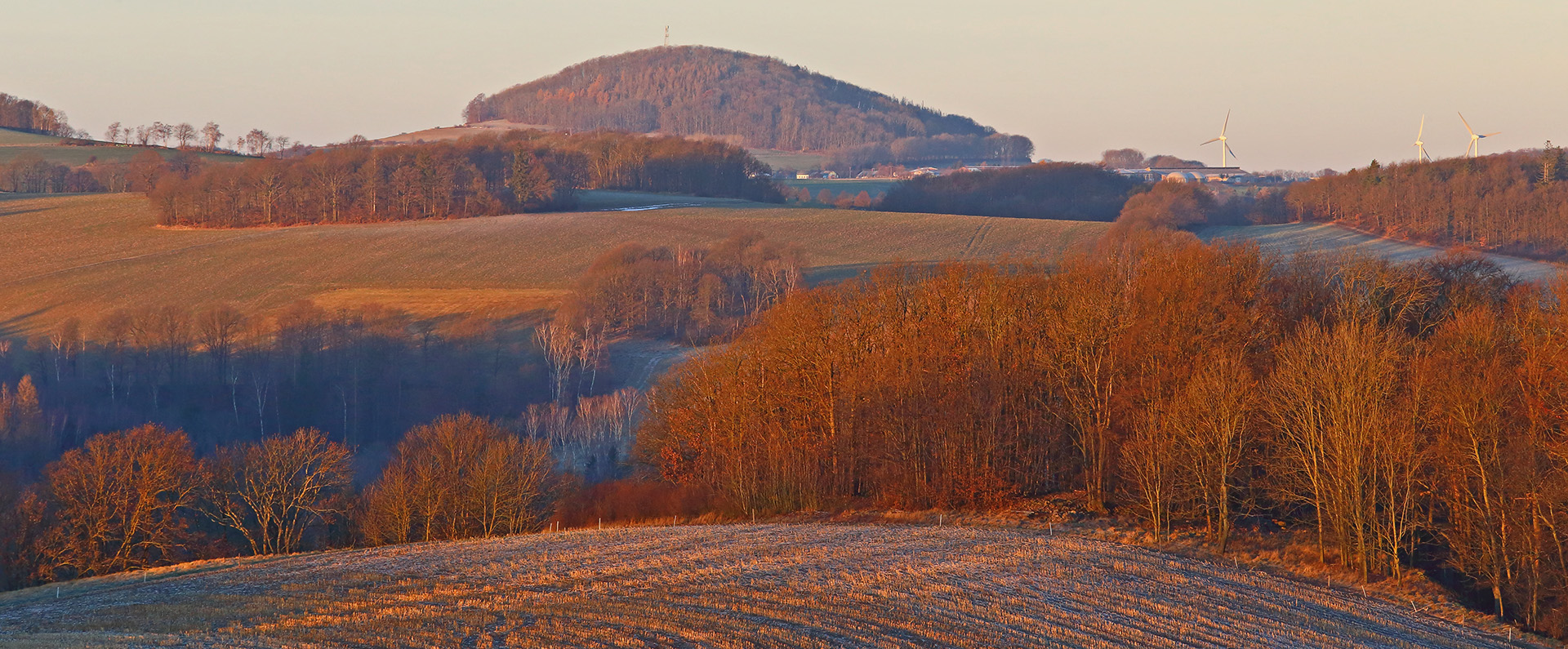 Stimmungsvoller goldener Herbstmorgen auf dem Weg nach Geising und Altenebrg...