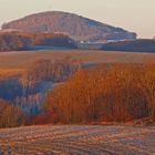 Stimmungsvoller goldener Herbstmorgen auf dem Weg nach Geising und Altenebrg...