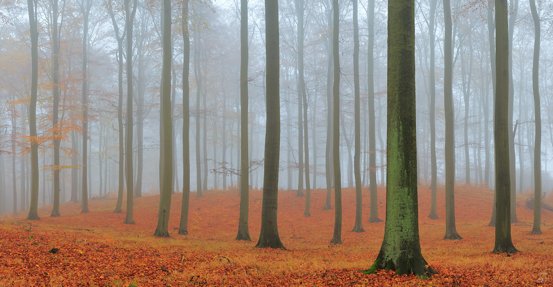 Stimmungsvoller Herbst