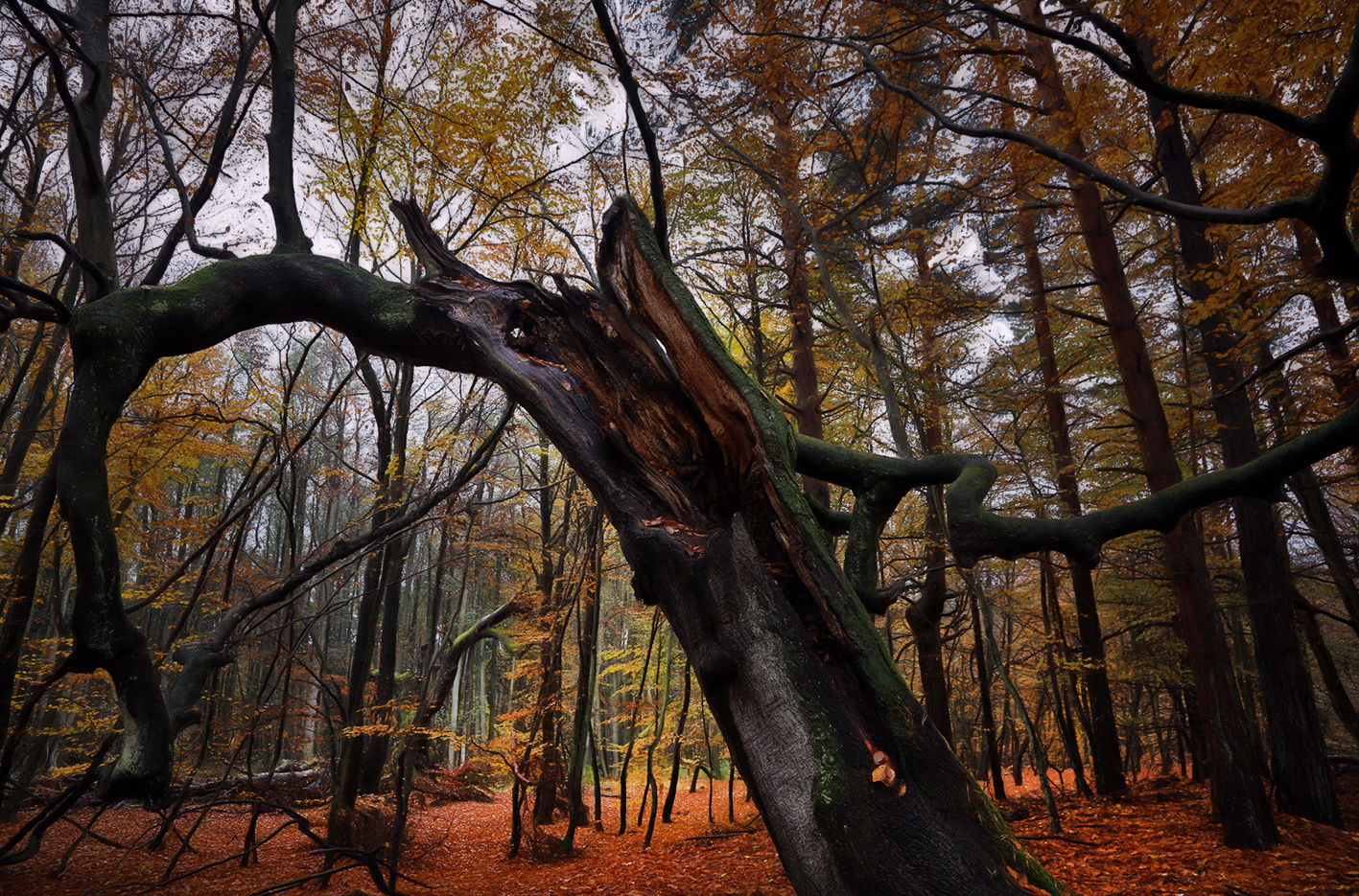 stimmungsvoller Herbst