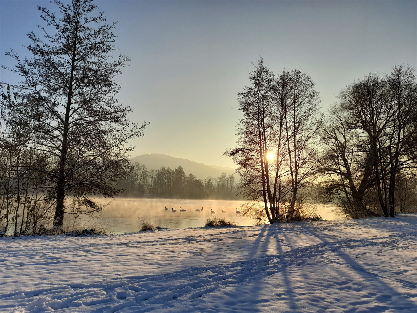 Stimmungsvoller Morgen