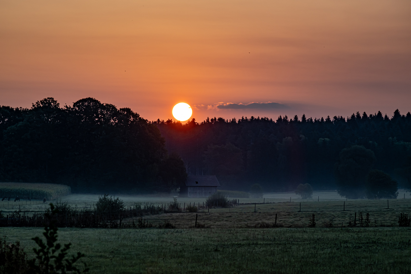 Stimmungsvoller Morgen 