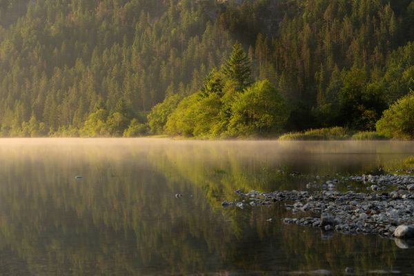 stimmungsvoller Morgen am See