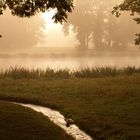 Stimmungsvoller Morgen in Aschaffenburg