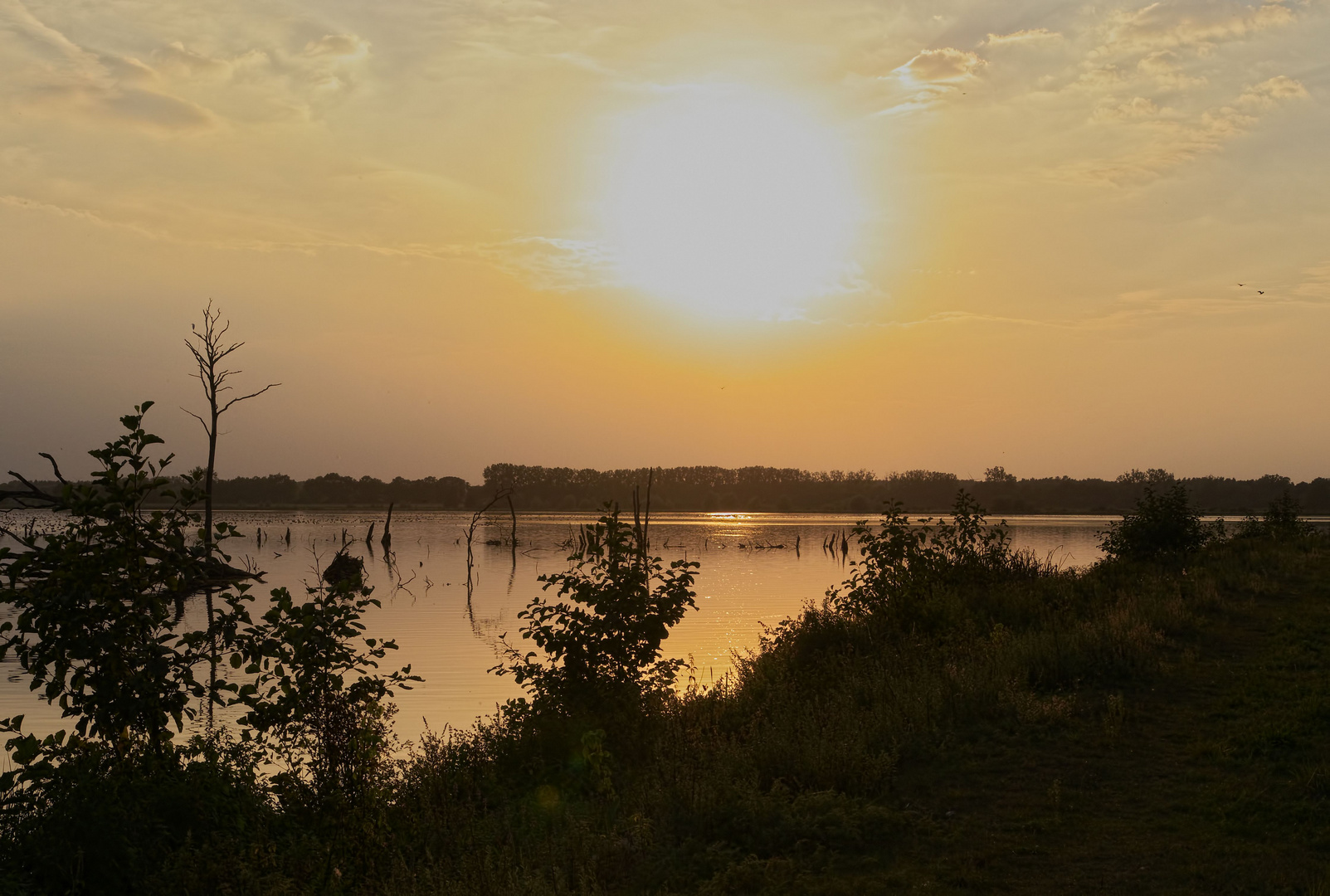 stimmungsvoller See