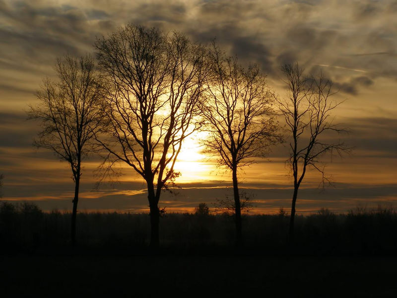 Stimmungsvoller Sonnenaufgang...