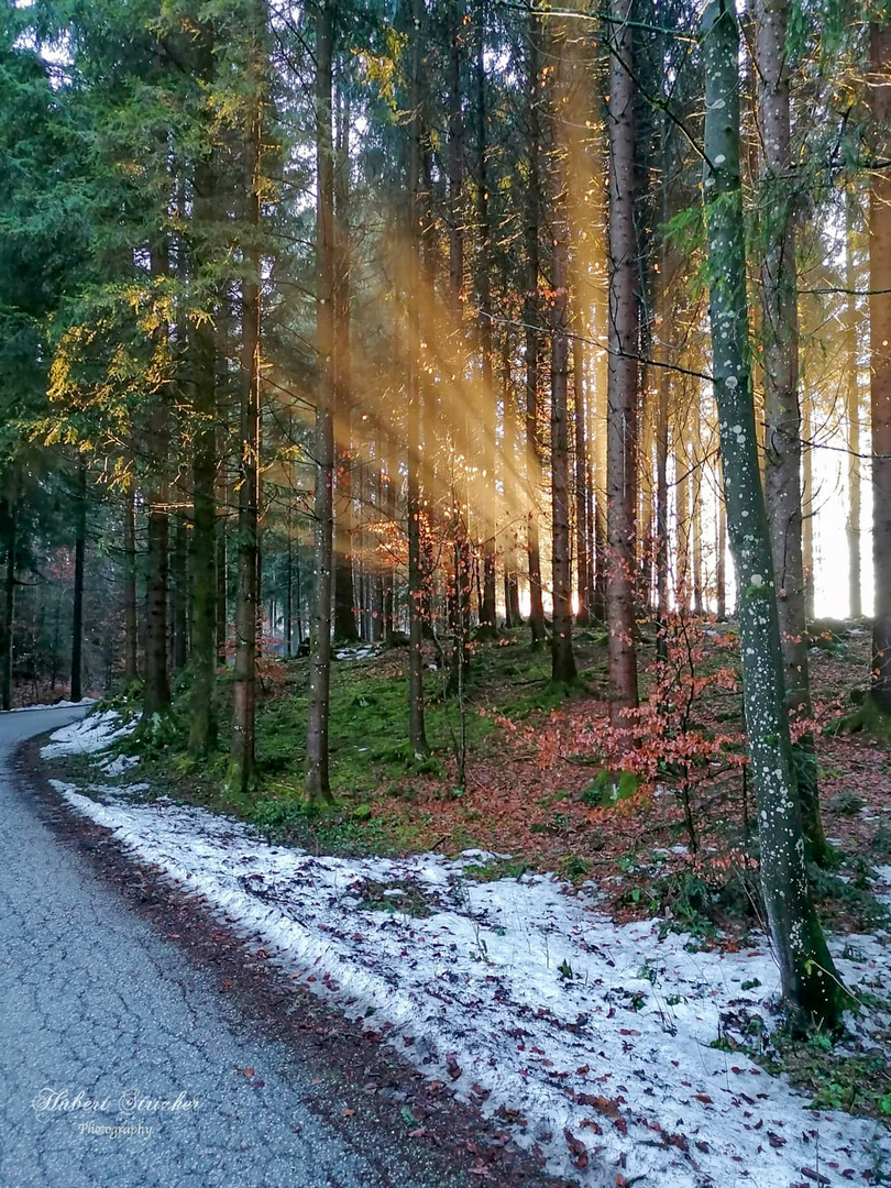 Stimmungsvoller Sonnenuntergang