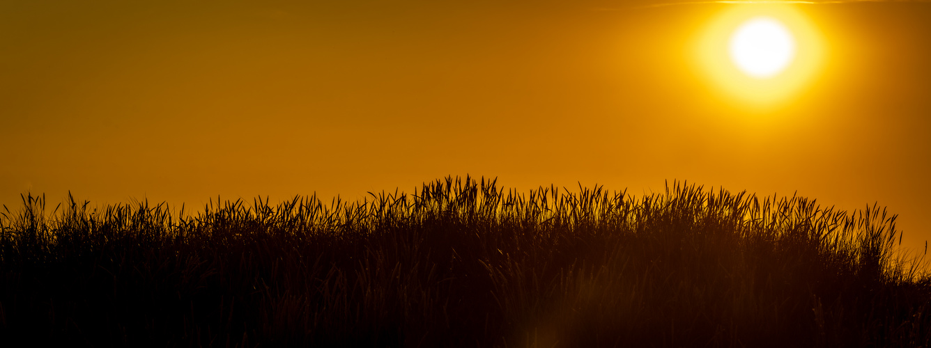 Stimmungsvoller Sonnenuntergang