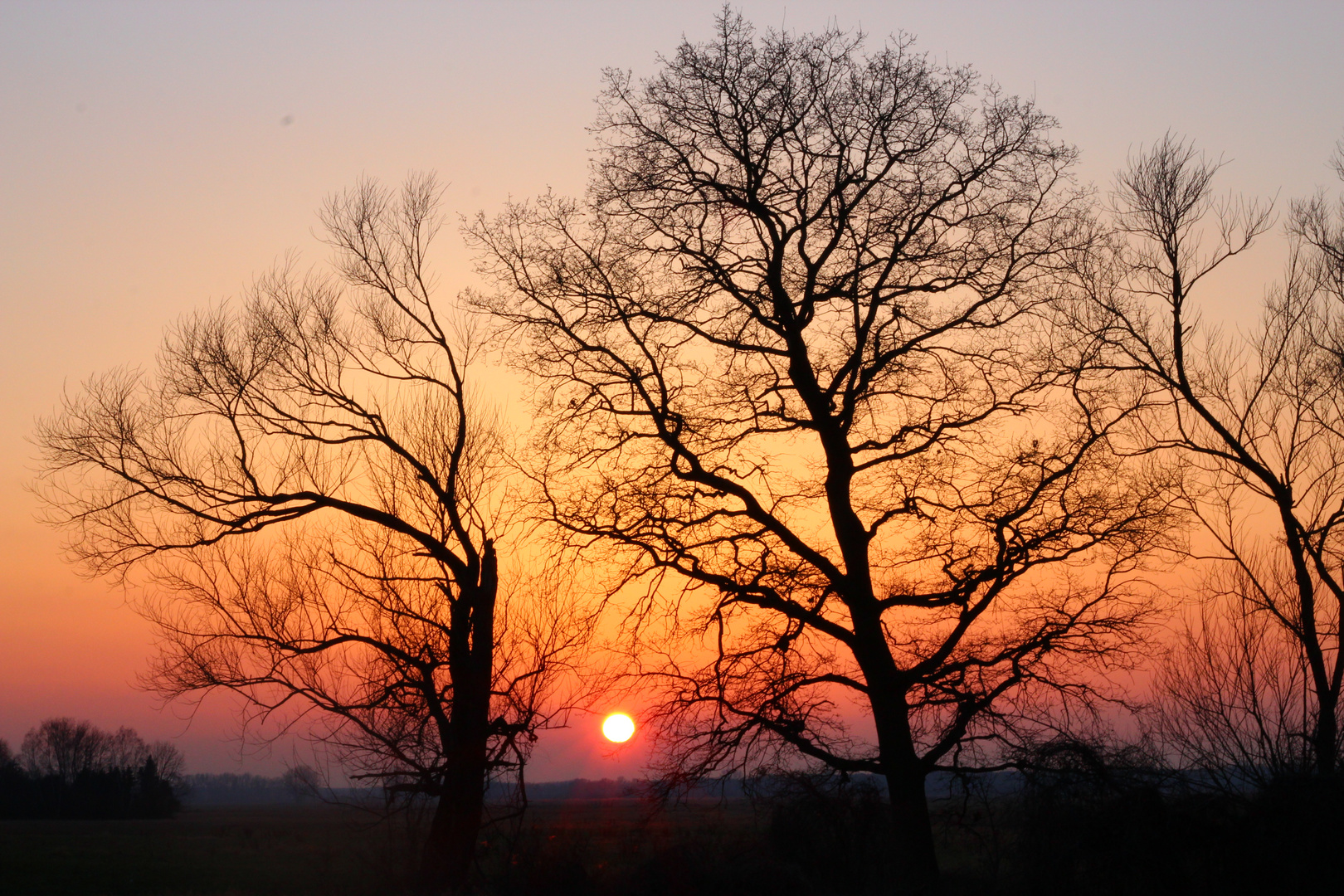 Stimmungsvoller Sonnenuntergang im Winter.