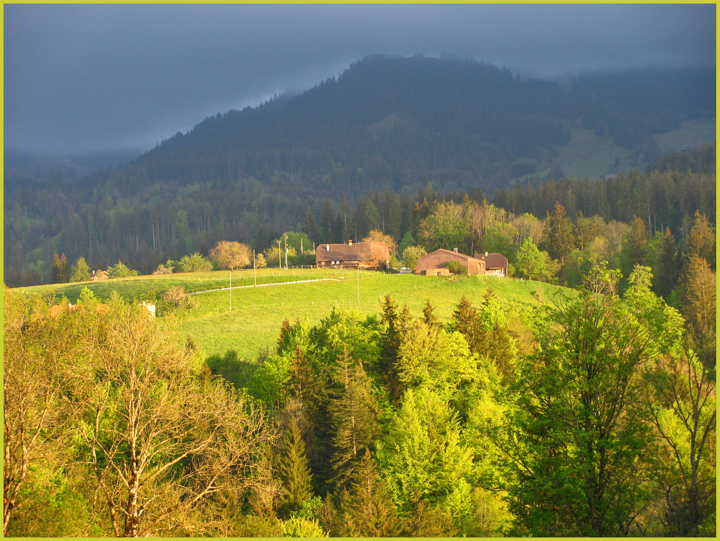 stimmungsvolles Abendlicht