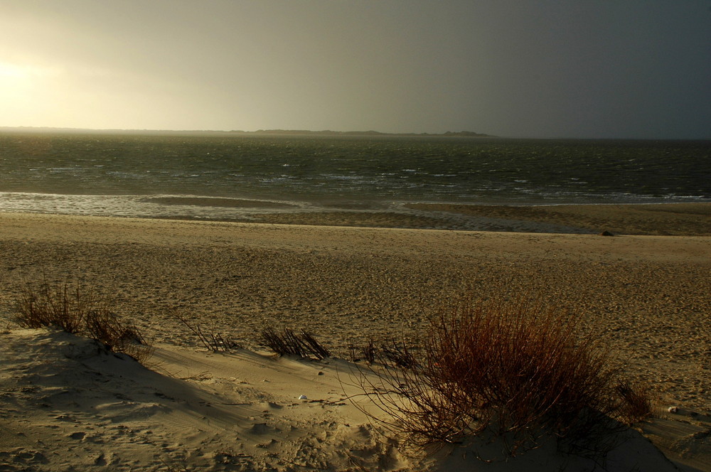 Stimmungsvolles Föhr