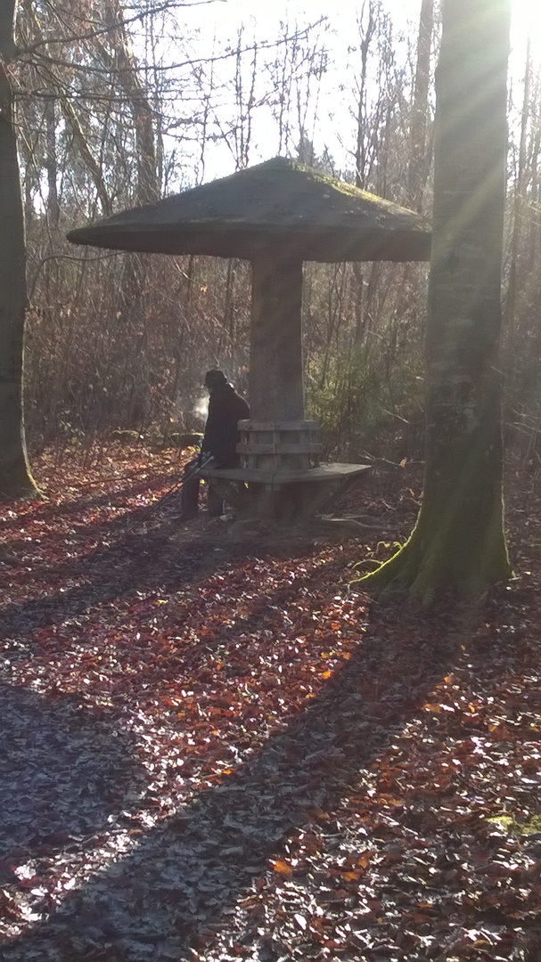 Stimmungsvolles Foto im Wald