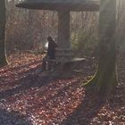 Stimmungsvolles Foto im Wald