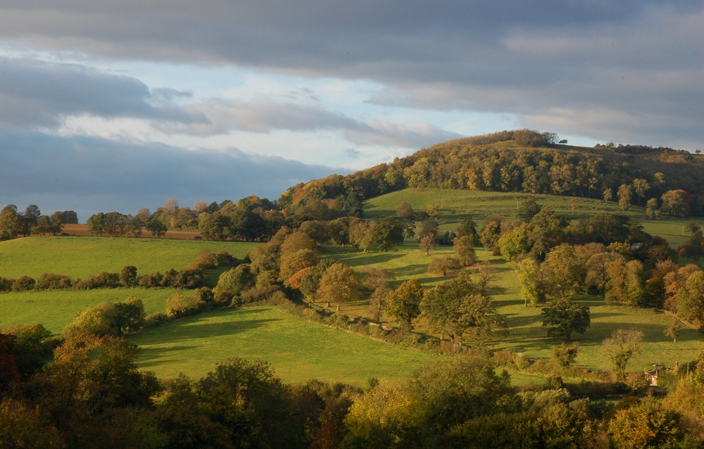 STINCHCOMBE HILL