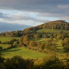 STINCHCOMBE HILL