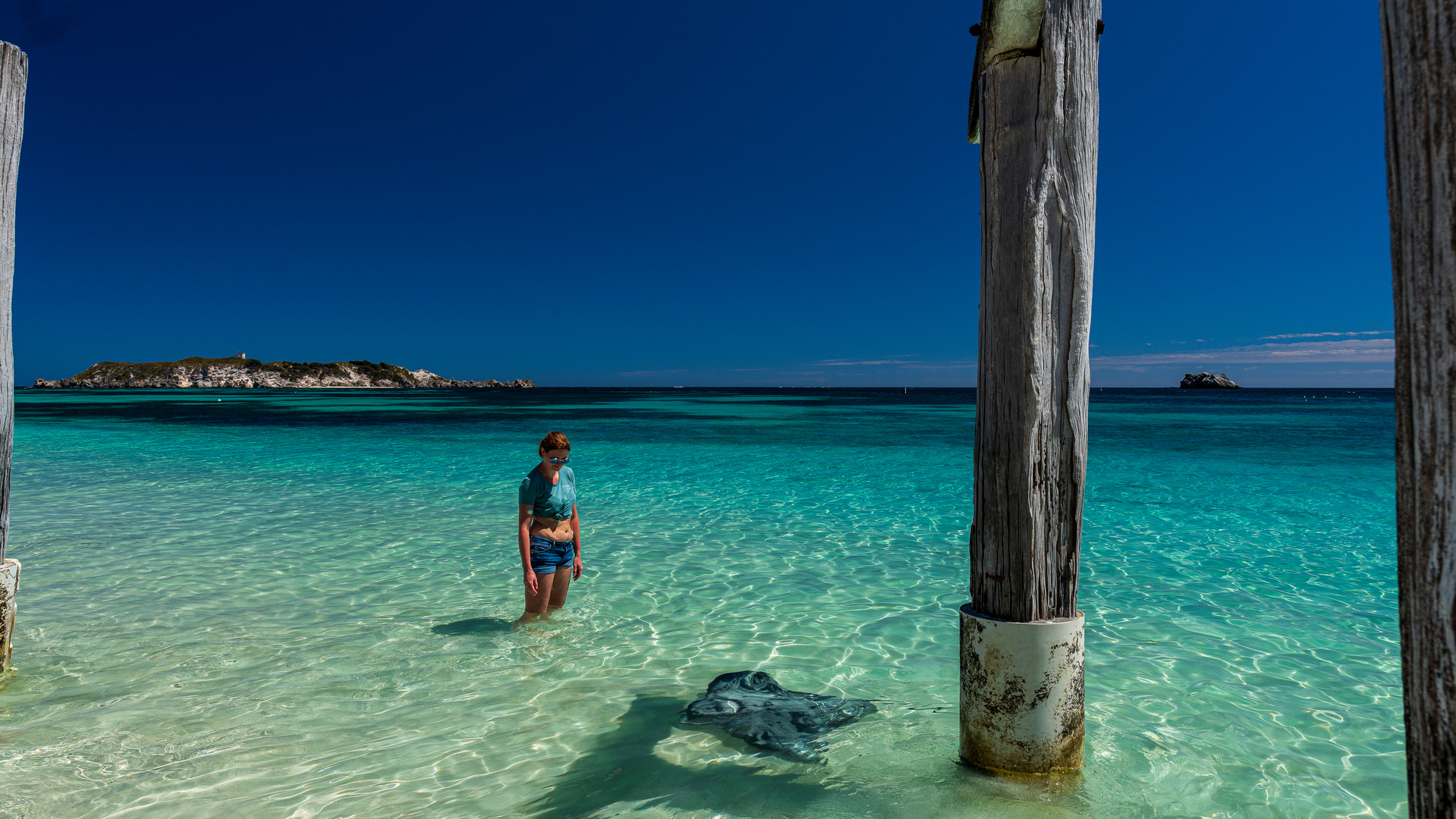 Stingray @ Hamelin Bay, Western Australia