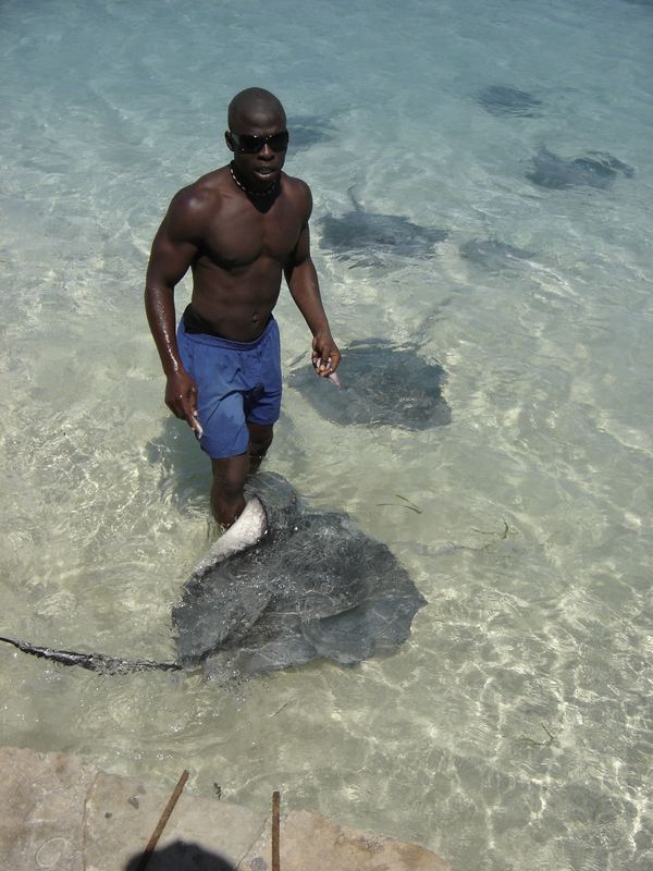 Stingrays, James Bond Beach, Jamaica