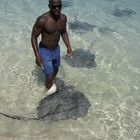 Stingrays, James Bond Beach, Jamaica