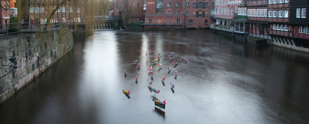 Stinte von Lüneburg