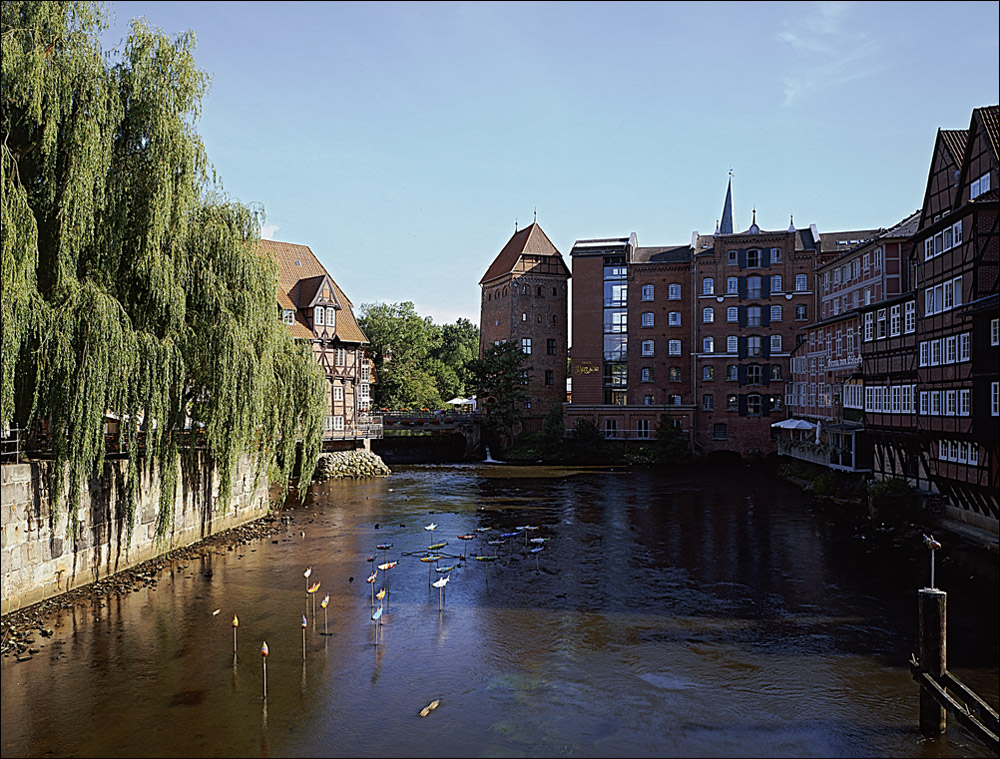 Stinte, Wasserturm und Abstmühle