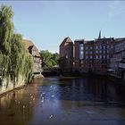 Stinte, Wasserturm und Abstmühle