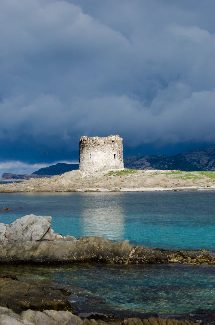 Stintino la Pelosa