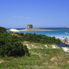 Stintino, Spiaggia La Pelosa