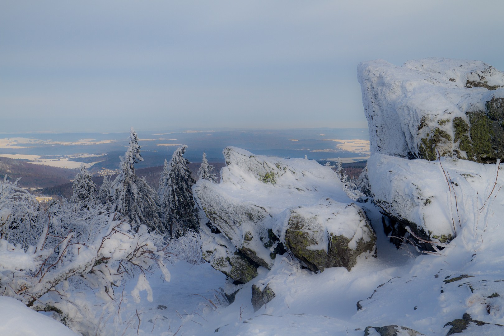 Stipvisite auf dem Feldberg im Taunus