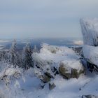 Stipvisite auf dem Feldberg im Taunus