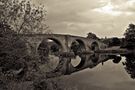 Stirling old Bridge von Greg Borland
