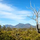 Stirling Range