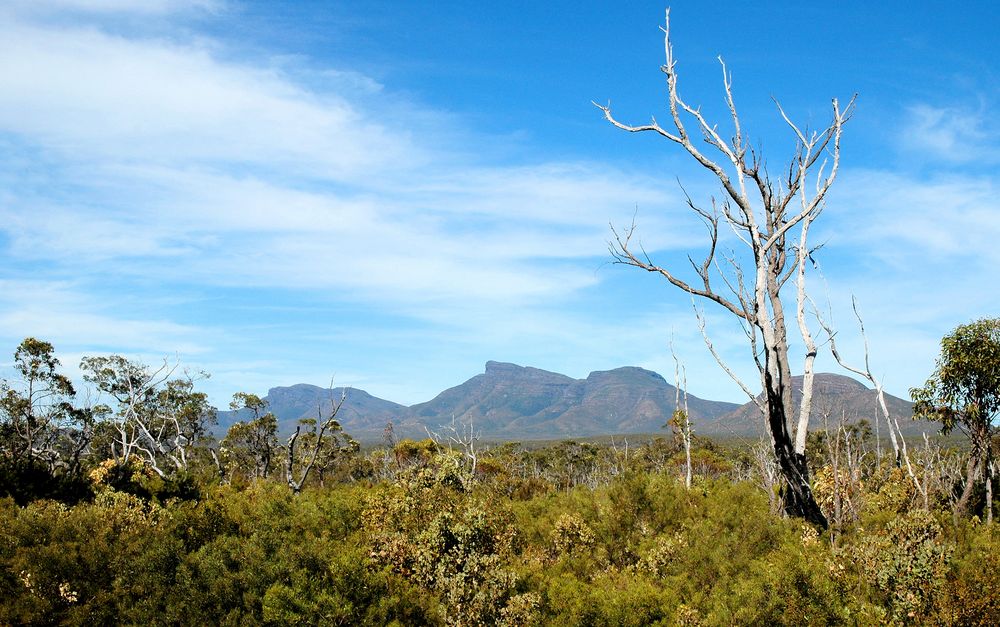 Stirling Range