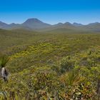 Stirling Range NP