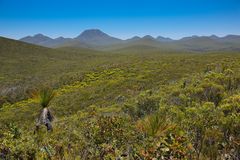 Stirling Range NP